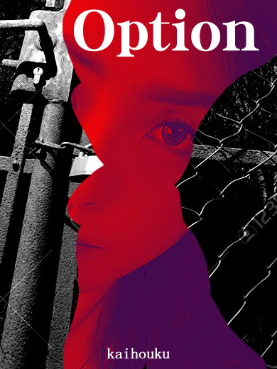 オプションイメージ画像